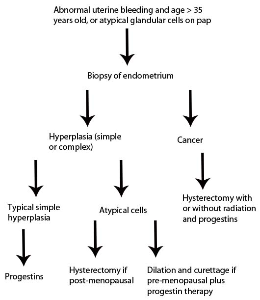 Endometrial Cancer Treatment Algorithm